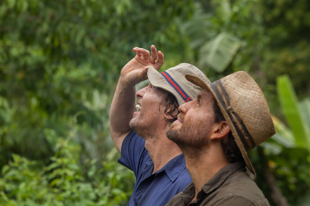 Gold (***1/2) is a beautiful&nbsp;loser