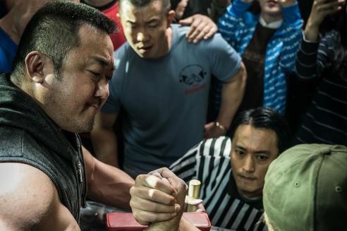 1281888_champion-c-finecut