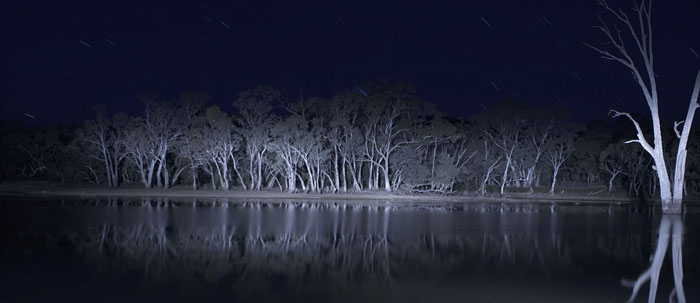 Forgotten Gem: Lake Mungo (***1/2) is buried&nbsp;deep